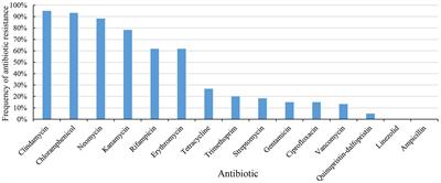 Safety assessment of Enterococcus lactis based on comparative genomics and phenotypic analysis